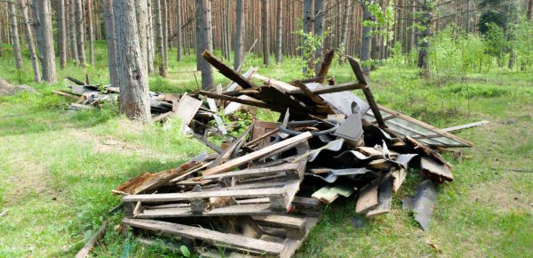 Debris Removal Service in Boca Raton