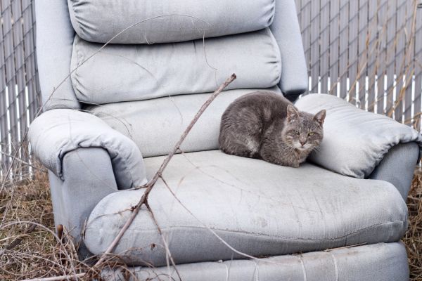 Recliner Disposal in Boca Raton